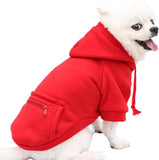 Pendrex Dog Jackets  Where Comfort Meets Adorable Feline Style