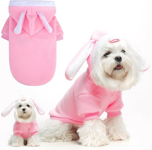 Comfy Dog Jackets  Pendrex Brings Warmth and Cutest Pet Style